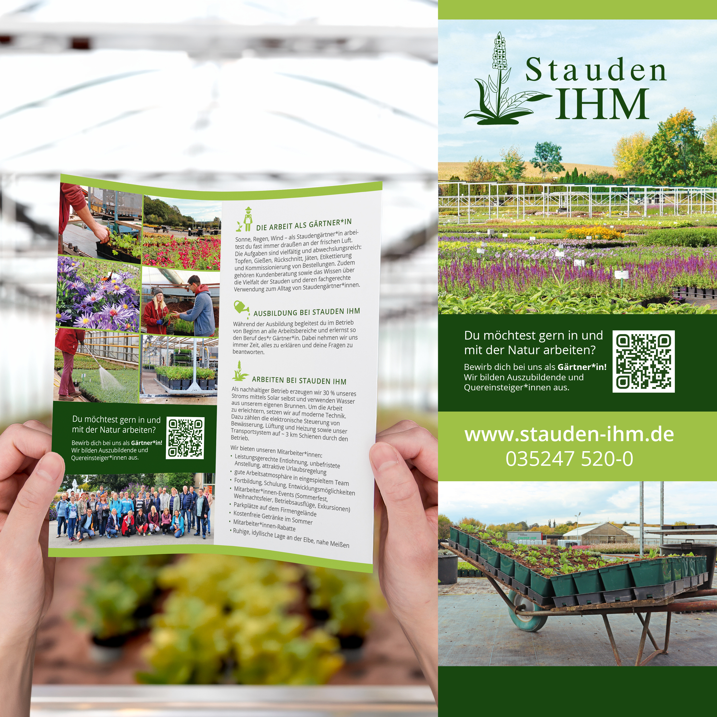 Karriereflyer und Rollup einer Gärtnerei